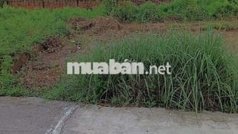 Bán Đất - Phú Nghĩa(Minh phú) - 91M2 - 1,5 tỷ - Đường Rộng