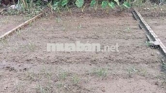 Bán Đất - Lạc Nông(Mai Đình) - 46M2 Full Thổ Cư - 1,7 Tỷ