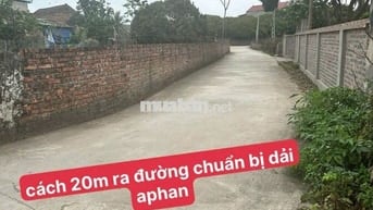 🏕️ BÁN ĐẤT -chủ cần tiền bán gấp 61m - Nguyên Hoà - Phù Cừ -  Hưng Yên