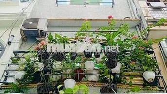 Phòng/nhà nguyên căn cần cho thuê