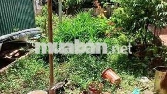 Đất Tân Nhuệ Thuỵ Phương - 50m2 - giá đầu tư - khu vực bay nhanh