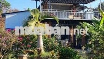 chính chủ cần bán gấp lô đất 2000m2 đã đầu tư thành homestay
