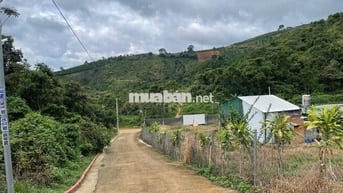 4031m2 - 35m mặt đường Thôn 16 Lộc Thành - Bảo Lâm ngay ĐồI Mây