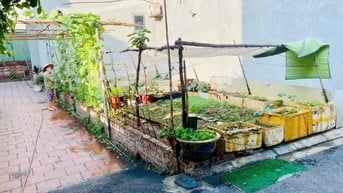 Chính chủ bán 35m2 đất Cửu Việt, Trâu Quỳ đường Ô tô thông.