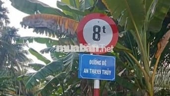 CC Cần bán 1.410 m2 đất đường đê An Thạnh Thủy, Chợ Gạo, Tiền Giang