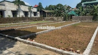 🎄 SIÊU HIẾM Ô TÔ VÀO ĐẤT GIÁ NHỈNH 1TỶ 👉 DUYÊN YẾT - HỒNG THÁI - PHÚ