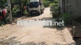Chính chủ bán đất full thổ cư hẻm xe tải Trần Văn Giàu Bình Chánh
