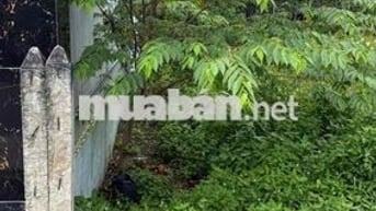 144m2 đất đường nhựa thông giá rẻ