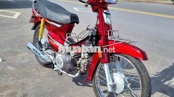 Draem úp fun super biển 52 dọn mới nguyên cây