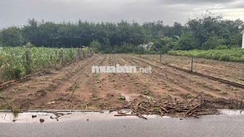 Cần bán lô đất 200m2 thổ cư gần tuyến đường Tạo Lực - Bắc Tân Uyên