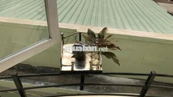 Cho thuê nhà nguyên căn Đường Huỳnh Khương An Quận GV