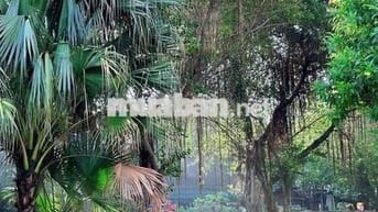 🏡 GÓC SHARE PHÒNG CHUNG CƯ DREAMHOME LUXURY – GÒ VẤP
