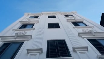 Bán Tòa Nhà CHDV Hồ Văn Long - Bình Tân, 20 tỷ 800 TL