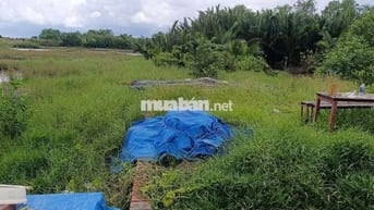 Bán đất nền đường bà xán xã Bình Khánh huyện cần giờ