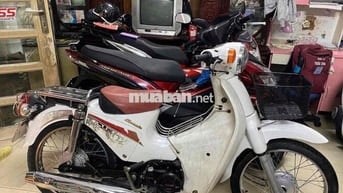 Cup 50cc