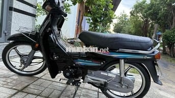 Dream Lùn Thái , xe dọn tâm huyết