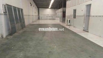 Cho thuê nhà kho ở thuận giao thuận an bình dương - Giá Rẻ Diện tích 1