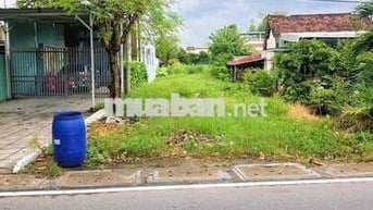 BÁN ĐẤT CỦ CHI ĐƯỜNG BẾN THAN 245m2 - GIÁ 850tr  - ĐƯỜNG NHỰA 12m