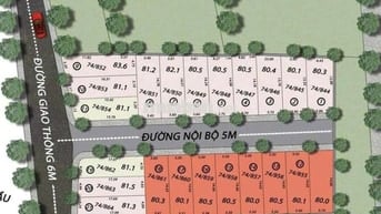 CHỦ ĐẤT VỪA BUNG 22 LÔ ĐẤT NỀN GIÁ F0 TẠI PHƯỜNG TÂN TRIỀU MỚI !