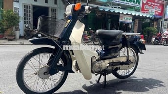 Cup 81 50cc ( cho học sinh đi học )