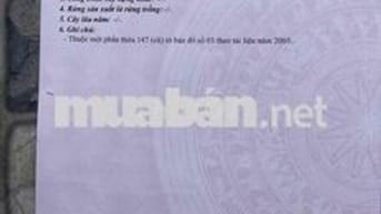 Bán Lô Đất 60m2  Phường Hiệp Thành Quận 12