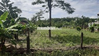 1330m2 đất sau nhà thờ Minh Thạnh, Dầu Tiếng