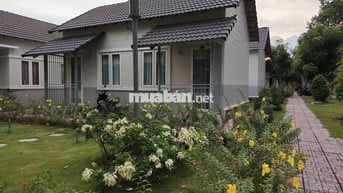 CHO THUÊ CĂN HỘ MINI & VILLA SÂN VƯỜN – TIAMO FULL NỘI THẤT CHỈ 4.5TR