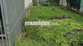 Giá đang còn mềm MT đường Trần Quang Đạo,Bình Khánh,Cần Giờ chỉ 1tỷ590