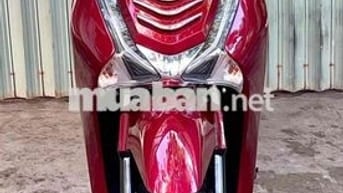 SH 150/2019 bao kí giấy