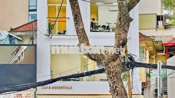 CHO THUÊ NGUYÊN CĂN CÁCH MẠNG THÁNG TÁM QUẬN 1