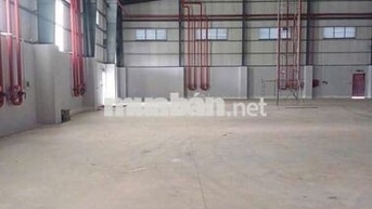 CHO THUÊ NHÀ XƯỞNG 1200M2 HOÁ CHẤT KCN XUYÊN Á – MỸ HẠNH LONG AN
