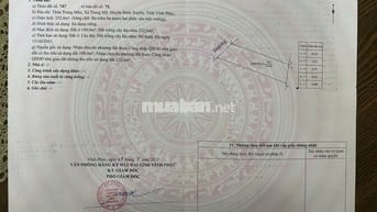 Bán đất Trung Mầu - Trung Mỹ - Bình Xuyên - Vĩnh Phúc