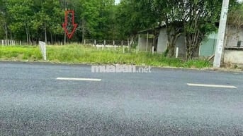 Bán lô 153m2 đất giá 900tr, Đ. Liêu Bình Hương, TT Củ Chi, SHR