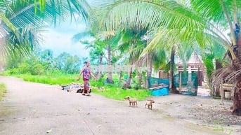 BÁN 2700M2 ĐẤT - 188M2 THỔ CƯ - GIÁ : 3.1TR/M2 !