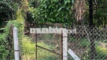 đất mặt đường an sơn 01. có măng cụt