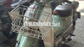 cub 50 cc