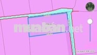 1000m2 đất khu dân cư giá 4 tỷ