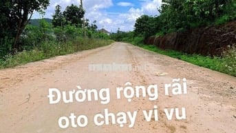 🌸 MỞ CỬA NHÌN RA ĐỒI THÔNG –GẦN ĐÀ LẠT - Chỉ 7xxtr 🌸