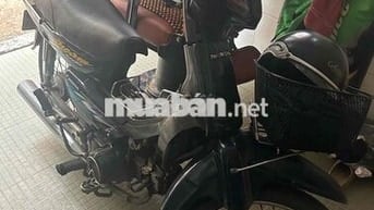 bán dream lùn thái