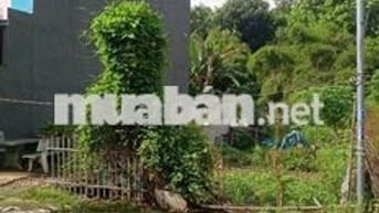 Sát TDM, hẻm 5m, đất vuông vức, kín dân, thoáng, mát, 1,86tỷ