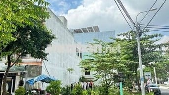 🧧 2 MẶT TIỀN : DƯƠNG LOAN - HOÀNG ĐÌNH ÁI