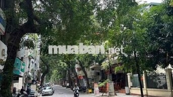 Cần bán gấp nhà phố Lý Nam Đế 25m  5 tầng 3.8mt  5.5 Tỷ Hoàn Kiếm