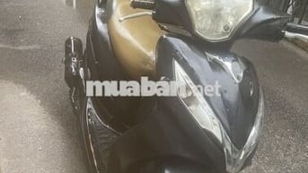 Xe Shak tay ga biển hà nội