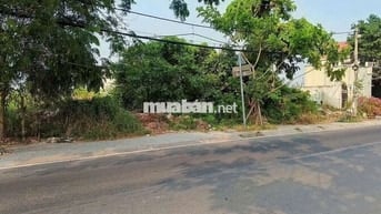Đất nền mặt tiền đường Nguyễn Bình, 238 m2 . Giá 55 triệu/m2