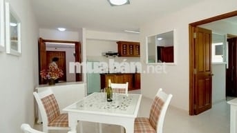 Cần cho thuê căn hộ chung cư Conic Đông Nam Á