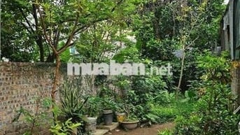 BÁN MẢNH ĐẤT 42M MT3.5M - PHỐ BẮC CẦU - LONG BIÊN.