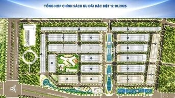 NỀN B3-42 – “VIÊN NGỌC” ĐẸP NHẤT DÃY B3 | GIÁ CỰC ƯU ĐÃI!