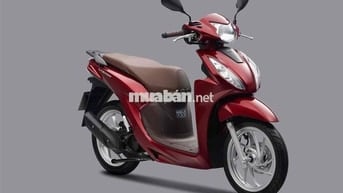 Xe góp chỉ cần căn cước công dân