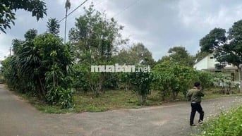 Cần Bán Đất Phường Lộc Nga Bảo Lộc