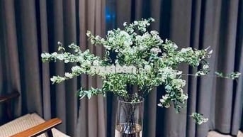 Cho thuê HẺM 10 M ĐƯỜNG THOẠI NGỌC HẦU : 4 x 30 M ĐÚC 1  LẦU